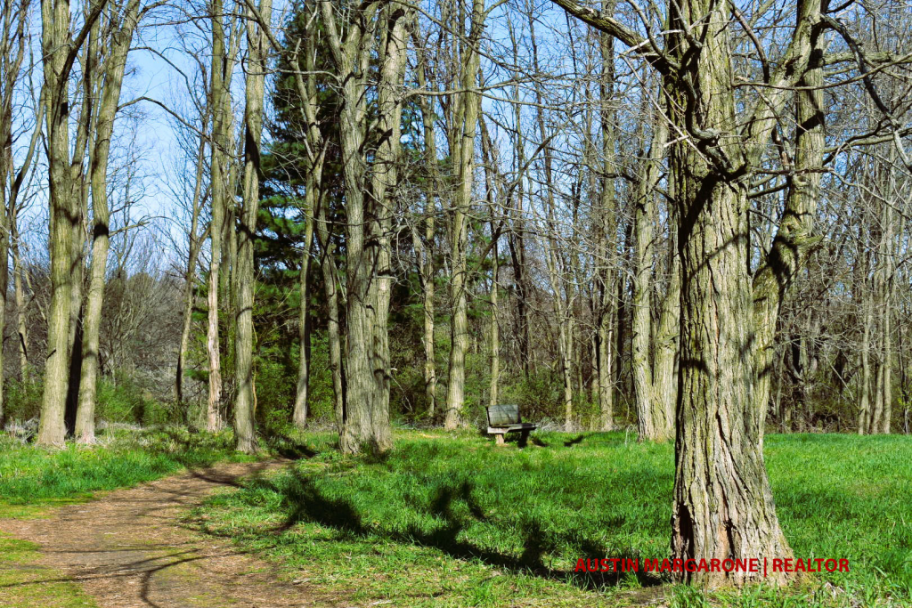 Gosnell Big Woods Preserve