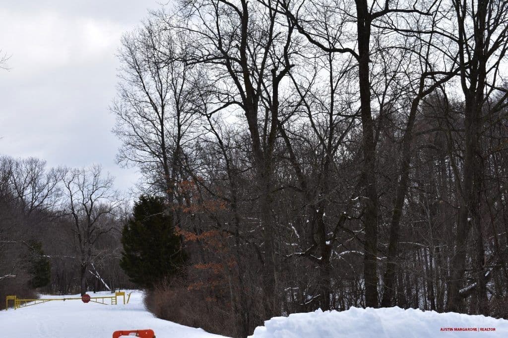 Mendon Ponds Park