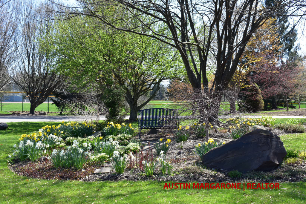 The Webster Arboretum