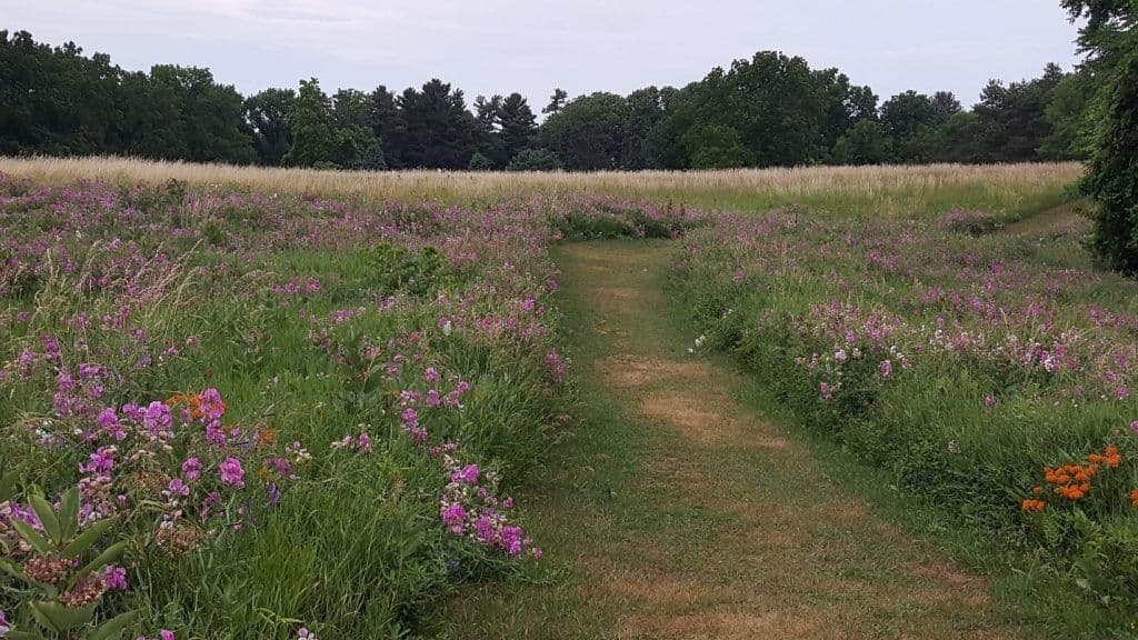 Webster Neighborhoods